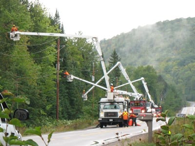 Tree trimming trucks in action